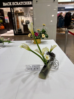 作品