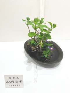 作品