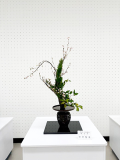 作品