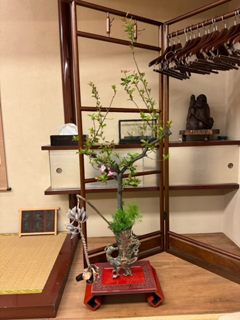 作品