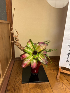 作品