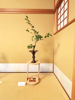 作品