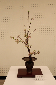 作品