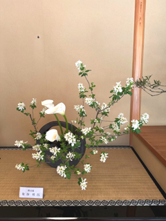作品