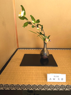 作品