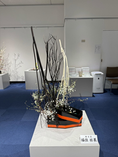 作品
