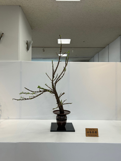作品